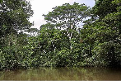 Level-5宣布11月29日举行发布会 公布新作发售日期